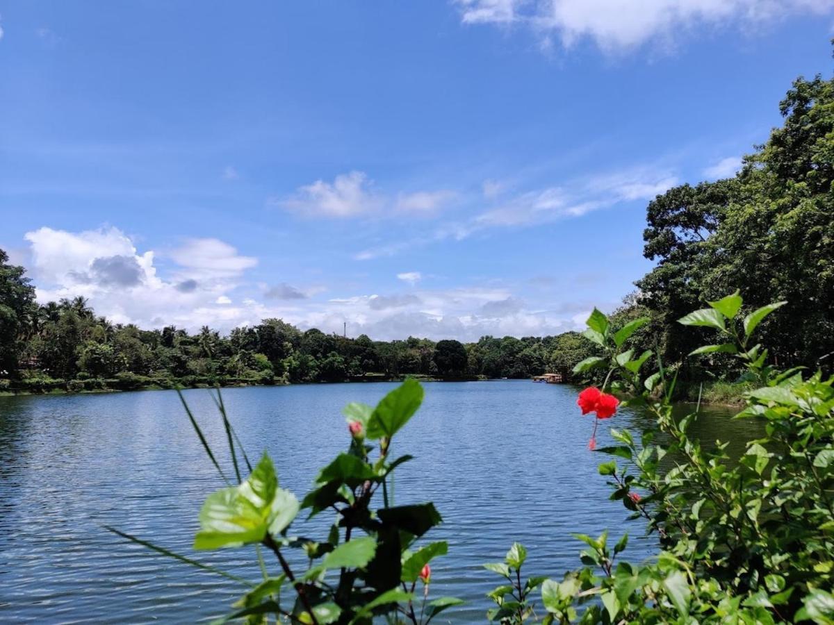 Kenson Homestay Mangalúr Exteriér fotografie